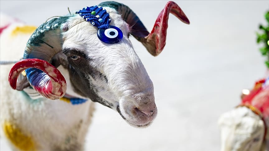 Kurban Bayramı: Sessiz Duaların, İçten Paylaşımın ve Gerçek Bayramın Adı Kurban Bayramı: Sessiz Duaların, İçten Paylaşımın ve Gerçek Bayramın Adı